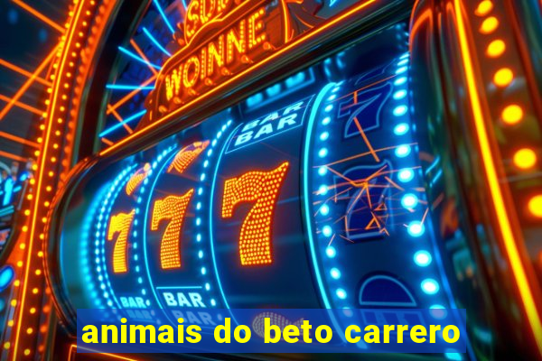 animais do beto carrero